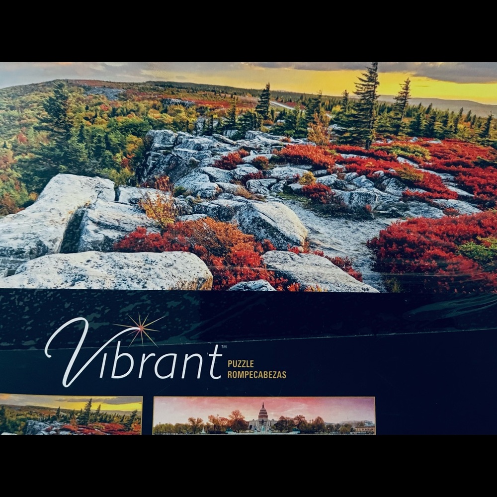 Mega Puzzles Vibrant Panoramic 750 pc.